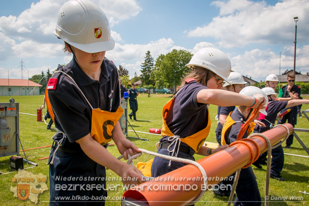 BFJLB Schönau/Triesting 2019 - Foto Daniel Wirth