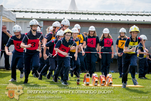 BFJLB Schönau/Triesting 2019 - Foto Daniel Wirth