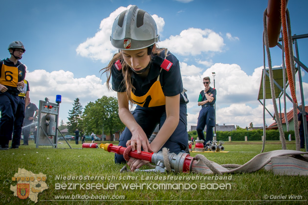 BFJLB Schönau/Triesting 2019 - Foto Daniel Wirth