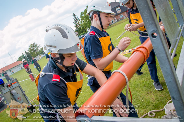 BFJLB Schönau/Triesting 2019 - Foto Daniel Wirth