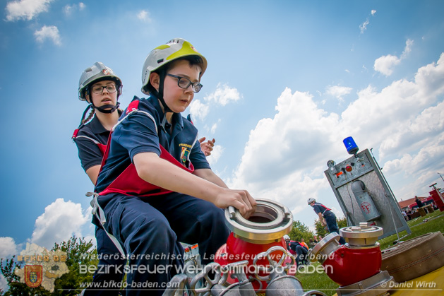 BFJLB Schönau/Triesting 2019 - Foto Daniel Wirth