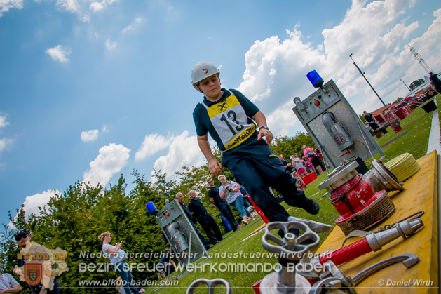 BFJLB Schönau/Triesting 2019 - Foto Daniel Wirth