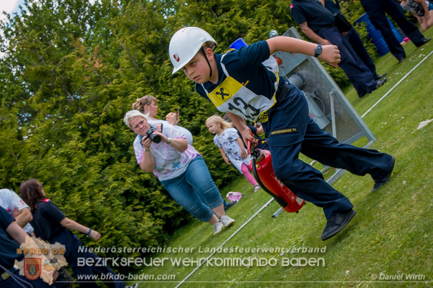BFJLB Schönau/Triesting 2019 - Foto Daniel Wirth