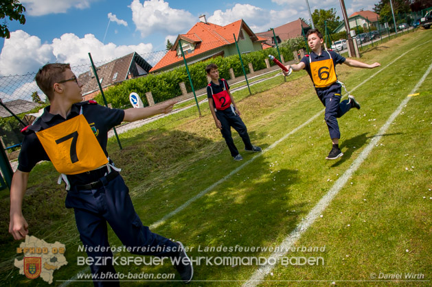 BFJLB Schönau/Triesting 2019 - Foto Daniel Wirth