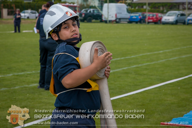 BFJLB Schönau/Triesting 2019 - Foto Daniel Wirth