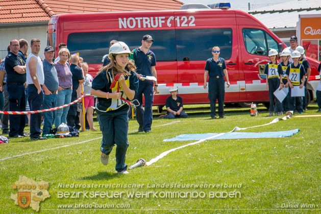 BFJLB Schönau/Triesting 2019 - Foto Daniel Wirth