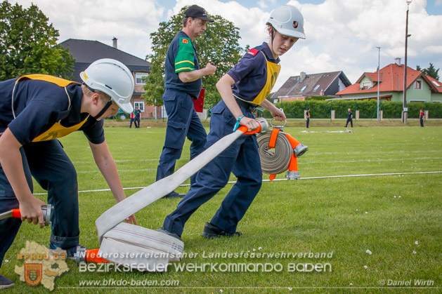 BFJLB Schönau/Triesting 2019 - Foto Daniel Wirth