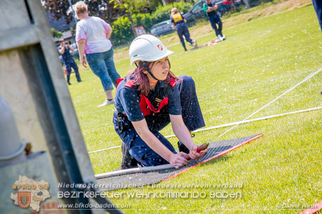 BFJLB Schönau/Triesting 2019 - Foto Daniel Wirth