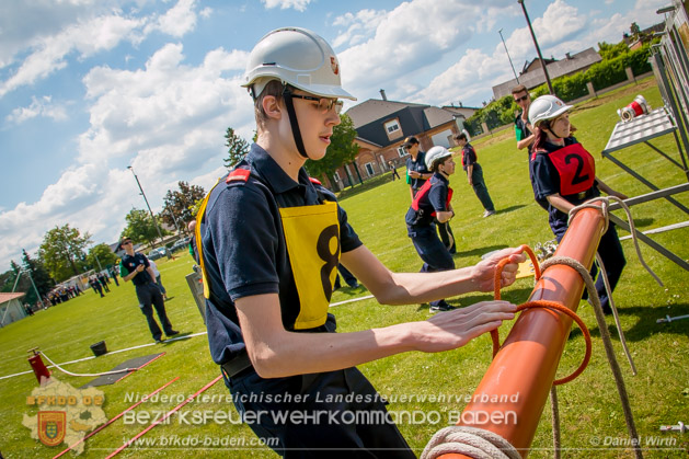 BFJLB Schönau/Triesting 2019 - Foto Daniel Wirth