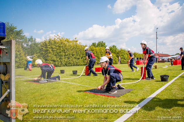 BFJLB Schönau/Triesting 2019 - Foto Daniel Wirth