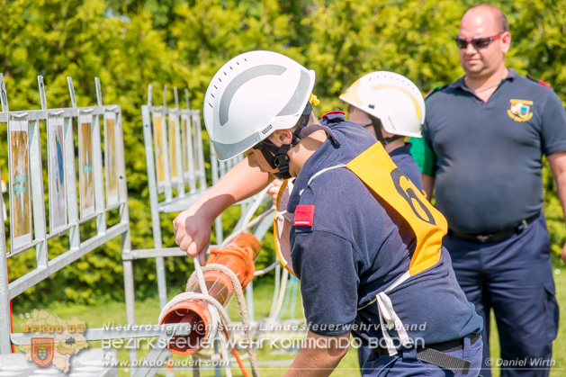 BFJLB Schönau/Triesting 2019 - Foto Daniel Wirth