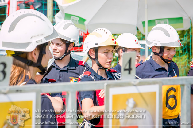 BFJLB Schönau/Triesting 2019 - Foto Daniel Wirth