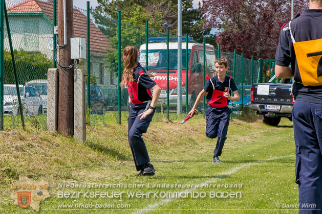 BFJLB Schönau/Triesting 2019 - Foto Daniel Wirth