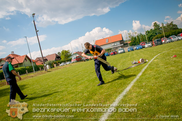 BFJLB Schönau/Triesting 2019 - Foto Daniel Wirth