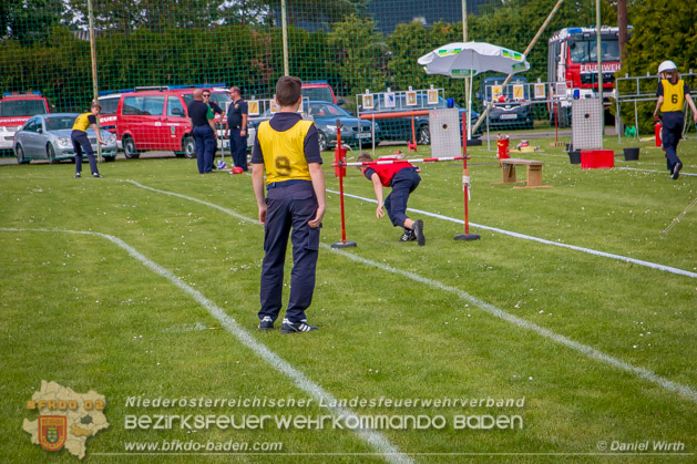 BFJLB Schönau/Triesting 2019 - Foto Daniel Wirth