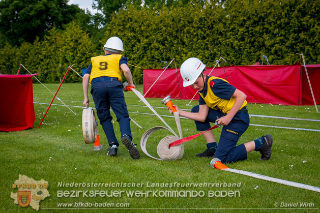 BFJLB Schönau/Triesting 2019 - Foto Daniel Wirth