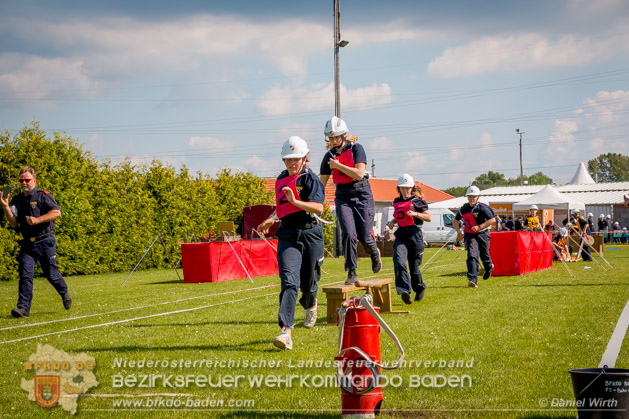 BFJLB Schönau/Triesting 2019 - Foto Daniel Wirth