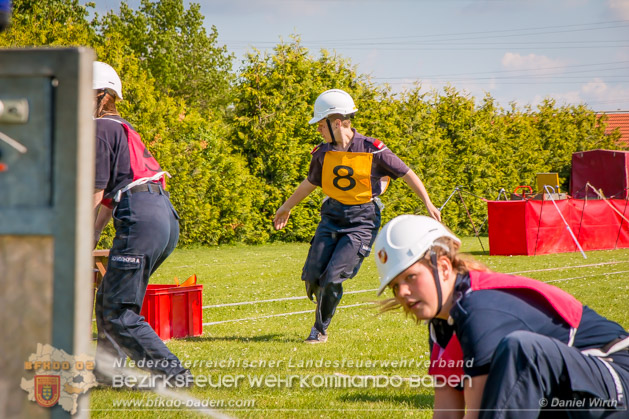 BFJLB Schönau/Triesting 2019 - Foto Daniel Wirth