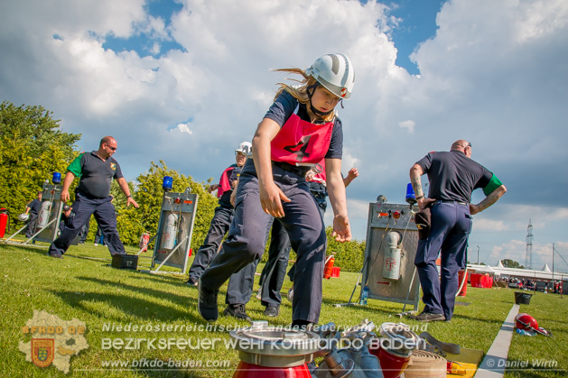 BFJLB Schönau/Triesting 2019 - Foto Daniel Wirth