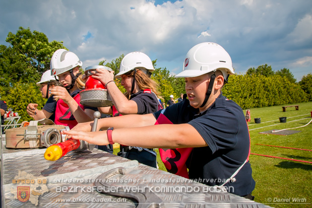 BFJLB Schönau/Triesting 2019 - Foto Daniel Wirth