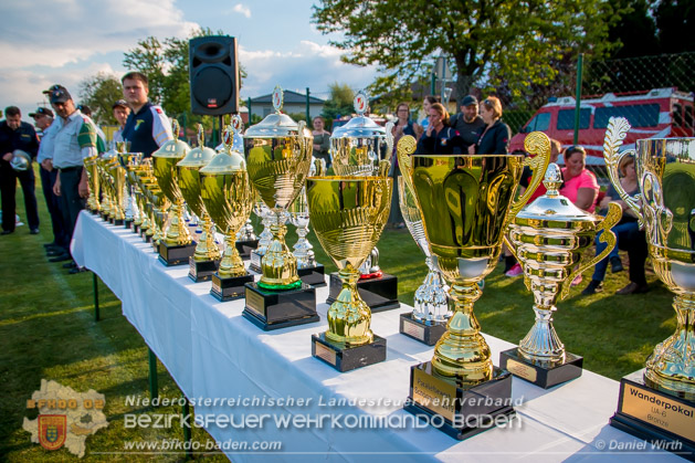 BFJLB Schönau/Triesting 2019 - Foto Daniel Wirth