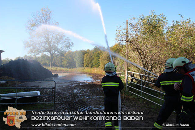 20191012 Unterabschnittsuebung in Thenneberg/Altenmarkt a.d.Triesting  Foto: ASB Markus Hackl AFKDO Pottenstein