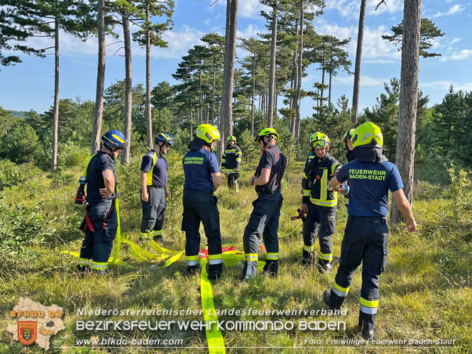 20220716 Erstes Bezirksmodul Waldbrandbekämpfung  Foto: FF Baden-Stadt 
