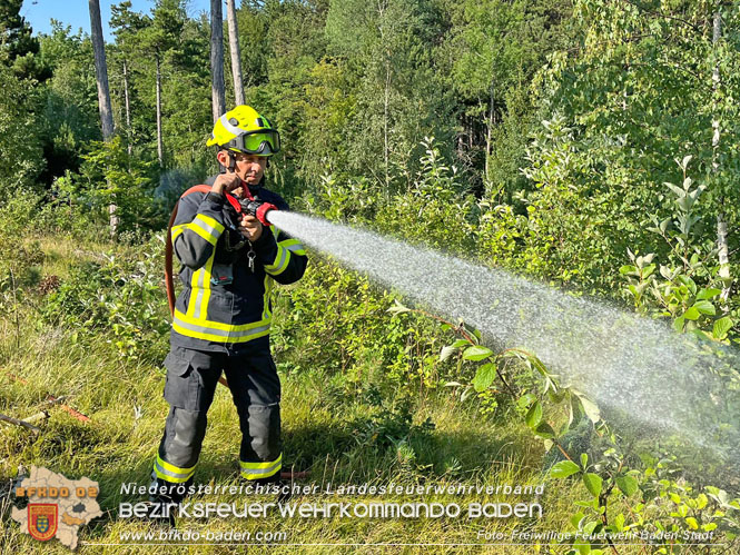 20220716 Erstes Bezirksmodul Waldbrandbekämpfung  Foto: FF Baden-Stadt 