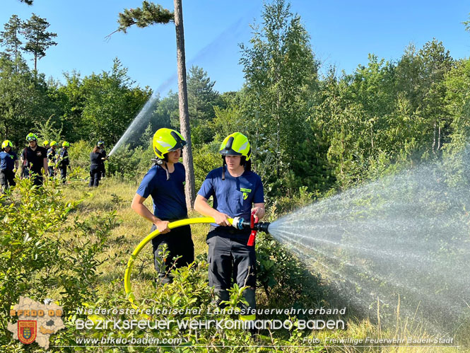 20220716 Erstes Bezirksmodul Waldbrandbekämpfung  Foto: FF Baden-Stadt 