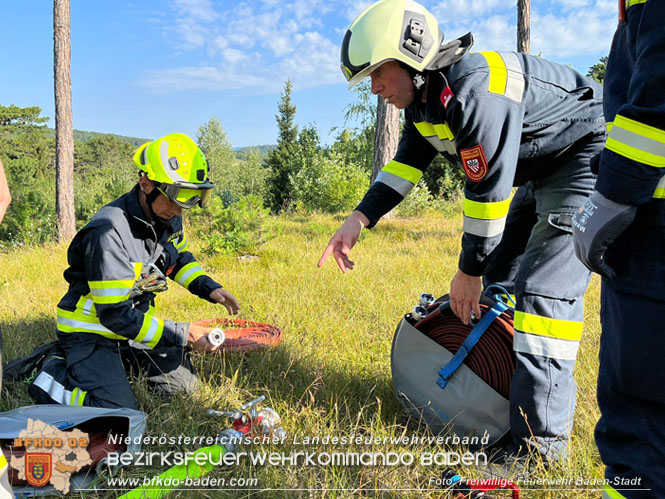 20220716 Erstes Bezirksmodul Waldbrandbekämpfung  Foto: FF Baden-Stadt 