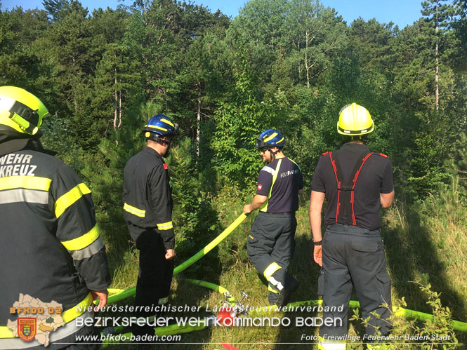 20220716 Erstes Bezirksmodul Waldbrandbekämpfung Foto: FF Baden-Stadt 