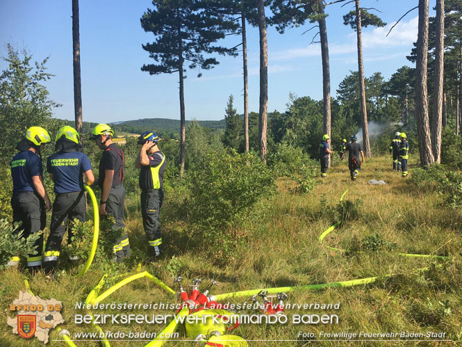 20220716 Erstes Bezirksmodul Waldbrandbekämpfung Foto: FF Baden-Stadt 