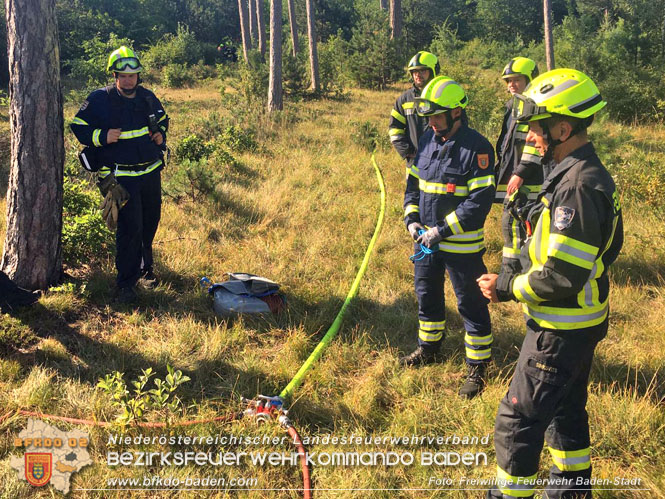 20220716 Erstes Bezirksmodul Waldbrandbekämpfung Foto: FF Baden-Stadt 