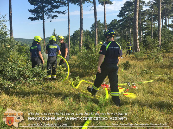 20220716 Erstes Bezirksmodul Waldbrandbekämpfung Foto: FF Baden-Stadt 