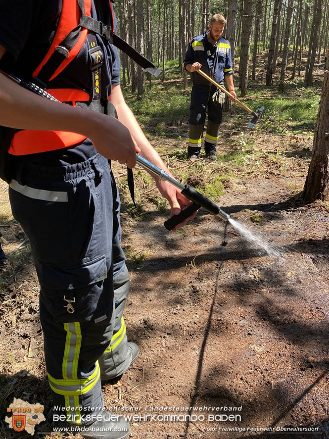 20220716 Erstes Bezirksmodul Waldbrandbekämpfung Foto: FF Oberwaltersdorf