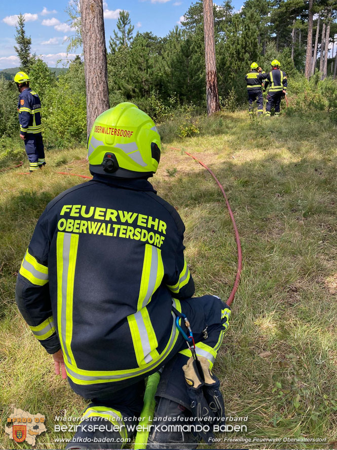 20220716 Erstes Bezirksmodul Waldbrandbekämpfung Foto: FF Oberwaltersdorf