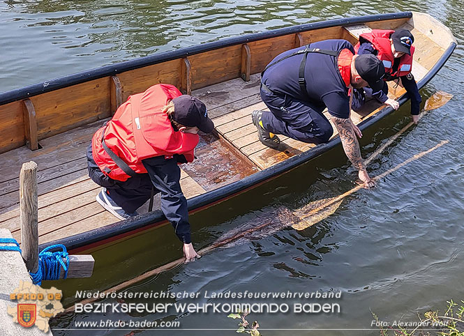 20220924 Fertigkeitsabzeichen Feuerwehrjugend Sicher zu Wasser und zu Land" Foto: BR Alexander Wolf 20220924 Fertigkeitsabzeichen Feuerwehrjugend Sicher zu Wasser und zu Land" Foto: BR Alexander Wolf
