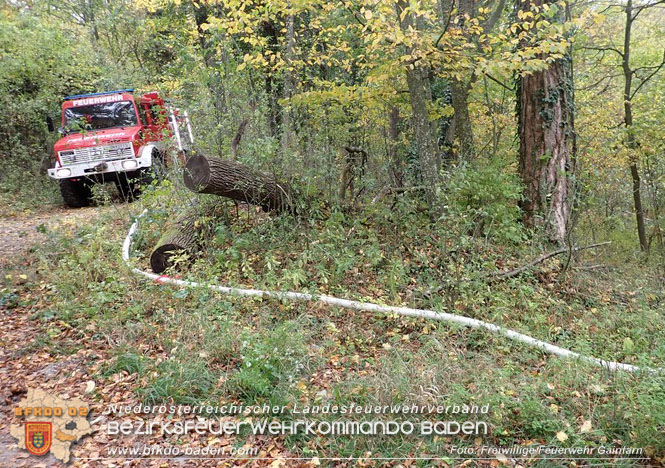 20221025 Unterabschnittsübung in Gainfarn  Foto: Freiwillige Feuerwehr Gainfarn