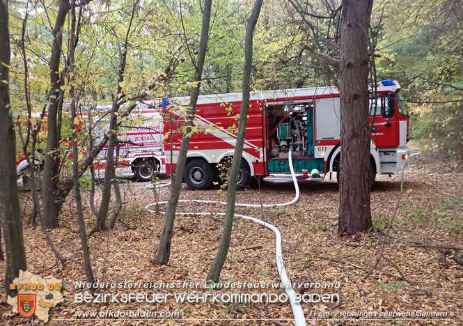 20221025 Unterabschnittsübung in Gainfarn  Foto: Freiwillige Feuerwehr Gainfarn