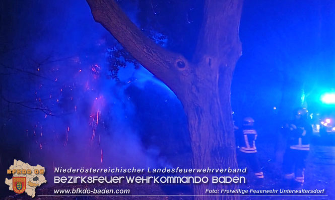 20221231 Baumbrand in Unterwaltersdorf  Foto: Freiwillige Feuerwehr Unterwaltersdorf