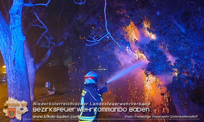 20221231 Baumbrand in Unterwaltersdorf  Foto: Freiwillige Feuerwehr Unterwaltersdorf