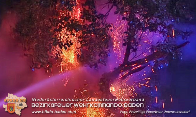 20221231 Baumbrand in Unterwaltersdorf  Foto: Freiwillige Feuerwehr Unterwaltersdorf