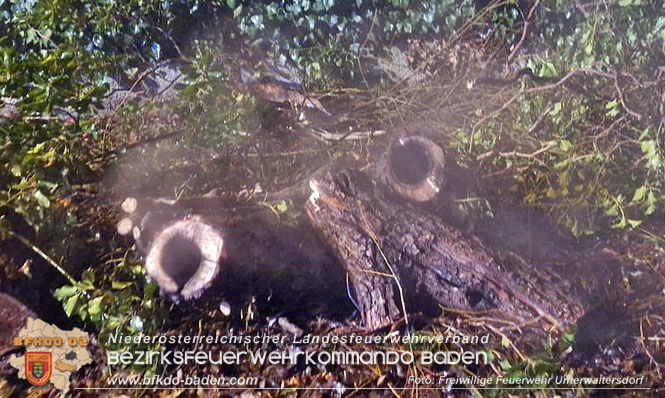20221231 Baumbrand in Unterwaltersdorf  Foto: Freiwillige Feuerwehr Unterwaltersdorf