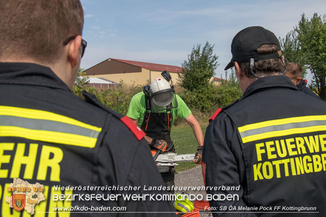 20230826 Ausbildung Motorkettensäge FF Kottingbrunn Foto: SB ÖA Melanie Pock FF Kottingbrunn 20230826 Ausbildung Motorkettensäge FF Kottingbrunn Foto: SB ÖA Melanie Pock FF Kottingbrunn