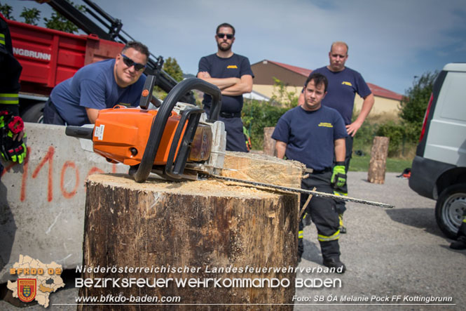 20230826 Ausbildung Motorkettensäge FF Kottingbrunn Foto: SB ÖA Melanie Pock FF Kottingbrunn 20230826 Ausbildung Motorkettensäge FF Kottingbrunn Foto: SB ÖA Melanie Pock FF Kottingbrunn