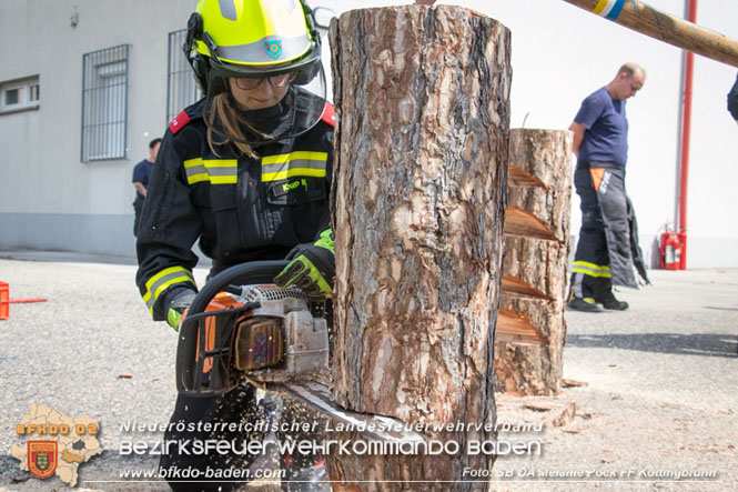20230826 Ausbildung Motorkettensäge FF Kottingbrunn Foto: SB ÖA Melanie Pock FF Kottingbrunn 20230826 Ausbildung Motorkettensäge FF Kottingbrunn Foto: SB ÖA Melanie Pock FF Kottingbrunn