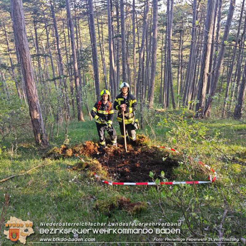 20240413 Zweite Übung der Waldbrandgruppe Abschnitt Pottenstein  Foto: Michael Zehetner / Freiwillige Feuerwehr St.Veit a.d.Triesting