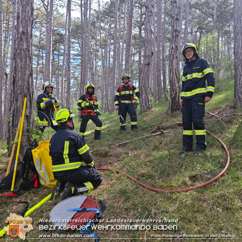 20240413 Zweite Übung der Waldbrandgruppe Abschnitt Pottenstein  Foto: Michael Zehetner / Freiwillige Feuerwehr St.Veit a.d.Triesting