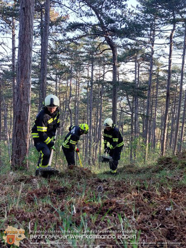 20240413 Zweite Übung der Waldbrandgruppe Abschnitt Pottenstein  Foto: Michael Zehetner / Freiwillige Feuerwehr St.Veit a.d.Triesting