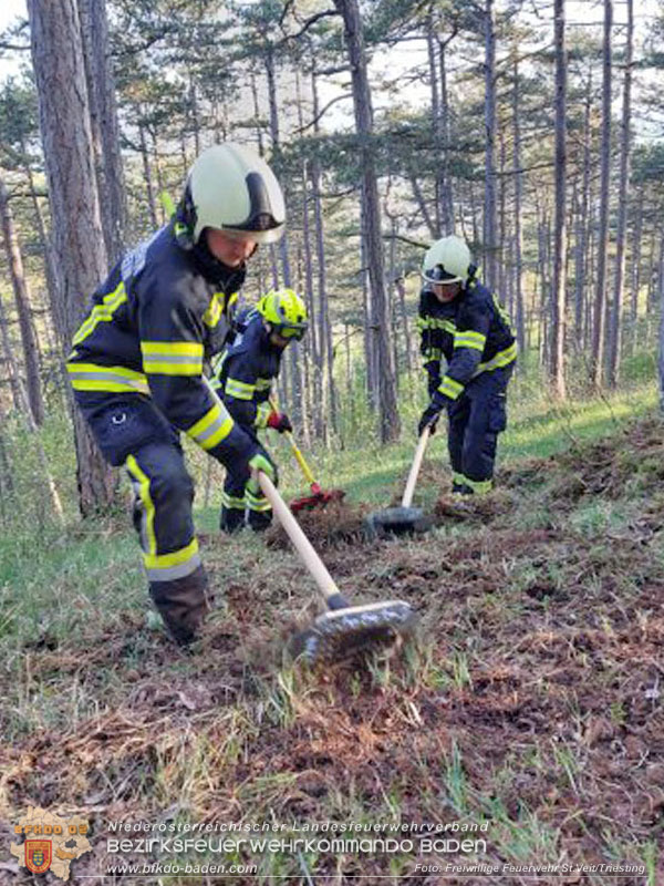 20240413 Zweite Übung der Waldbrandgruppe Abschnitt Pottenstein  Foto: Michael Zehetner / Freiwillige Feuerwehr St.Veit a.d.Triesting